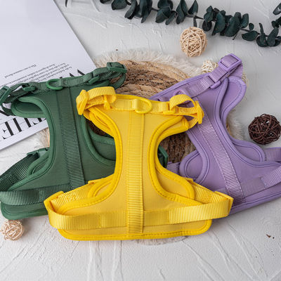 Buy Neoprene Personalized Pet Dog Harness Leash and Collar Set for Adjustable Fit S/M/L online manufacture