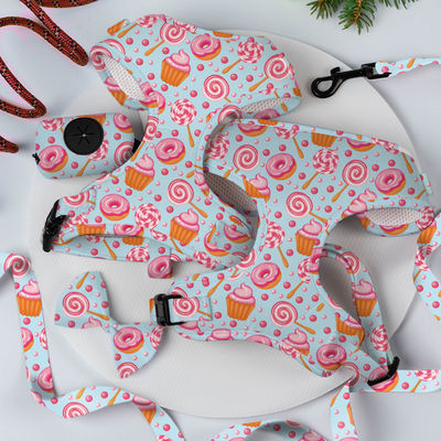 Buy XS Dog Harness And Leash Set Sublimation Decoration Scarf Cat Harness Set online manufacture