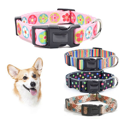 Buy Fashionable Nylon Buckle Dog Collar S M L Breakaway Cat Collars Customized online manufacture