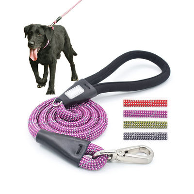 Buy Purple Dog Walking Leash Colorful Pet Walk Running Nylon Slip Lead Double Rope online manufacture
