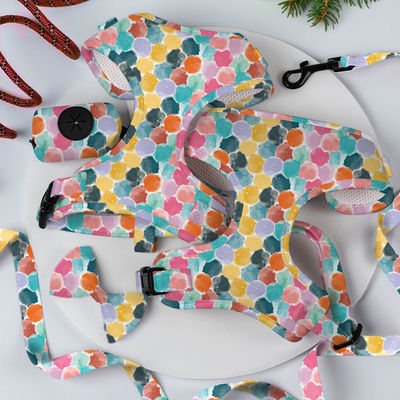Buy XS S M L XL Puppy Harness And Leash Set Air Mesh Soft Neoprene Collar And Lead Set online manufacture