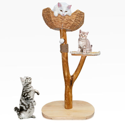 buy Natural Wood Cat Tower Multi Level Modern Design for Easy Climb by Small and Old Cats online manufacture