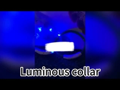 120cm Led Dog Leash Rechargeable USB Illuminated Dog Leash Personalized