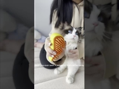 Pet Grooming Steamer Brush Dog Cat Hair Removal Brush Rechargeable Portable Steam Spray