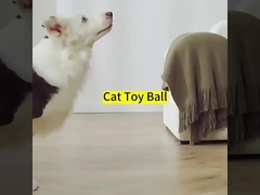 Pet ABS Silicone Material Self Moving Dog Training  Kitten Toy for Indoor Entertainment