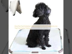 Dog Pee Pad Foldable Potty Training  Holder Portable Silicone Tray For Puppy Training