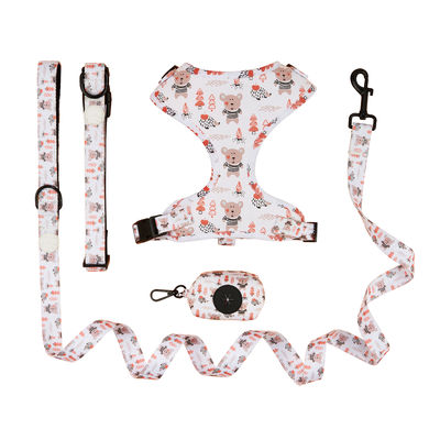 Personalized Cute Dog Collar Lead Set XL Dog Leads For Big Dogs