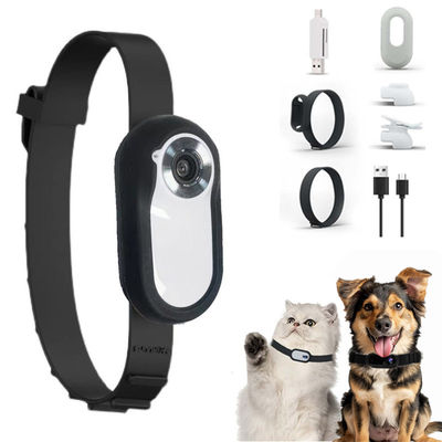 Outdoor Sports Pet Camera Collar ABS 1920*1080 Cat Camera Collar