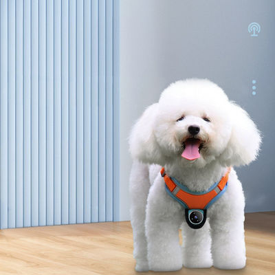 Mini Magnetic Thumb Action Camera Video Recording Wireless Dog Camera Harness