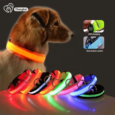 Hundehalsband Lighted Dog Collars Rechargeable Nylon XS XL LED Pet Collar