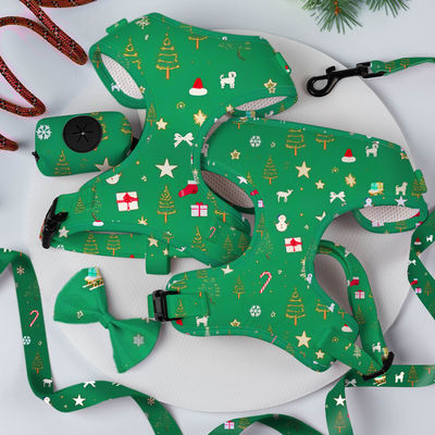 Popular Custom Personalized Designer Luxury No Pull Adjustable Collar Leash Bow Tie and Bandana Reversible Dog Harness Set