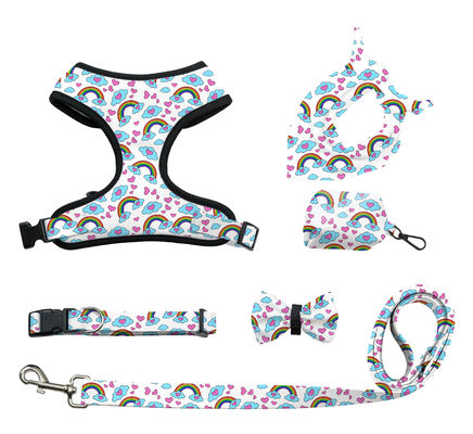 Personalized Custom Dog Cat Harness Sets Adjustable No Pull Luxury Designer Collar and Leash Set with Custom Colors