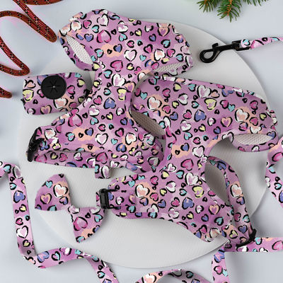 Adjustable Luxury Neoprene Mesh Soft Pet Dog Harness Set with Personalized Custom Logo Leash and OEM/ODM Accepted