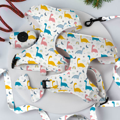 Reversible Small Dog Harness And Leash Set Luxury Fashion Dog Walk Set