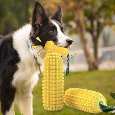 Toxic Free Squeaky Dog Toys TPR Chew Toys For Aggressive Chewers